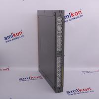 sales6@amikon.cn——ICS TRIPLEX T3401